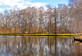 Phoca Thumb M Morgenlicht Am Niederwaldsee 0332 2013